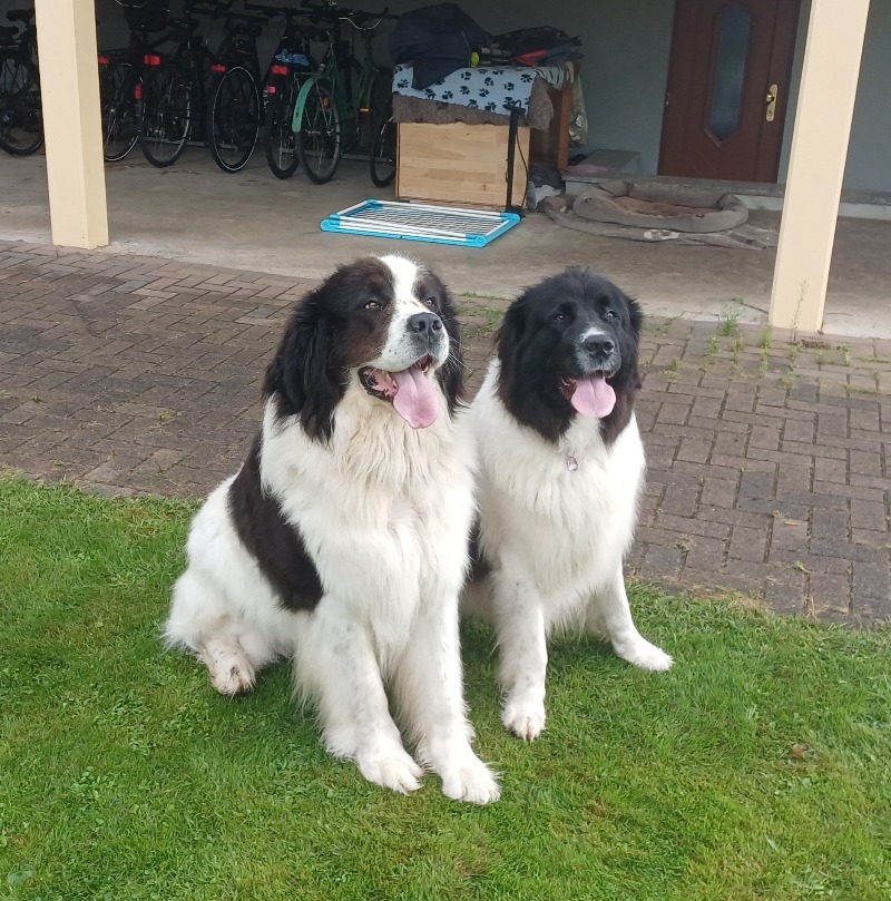 Anton & Ronja